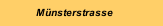 M&uuml;nsterstrasse